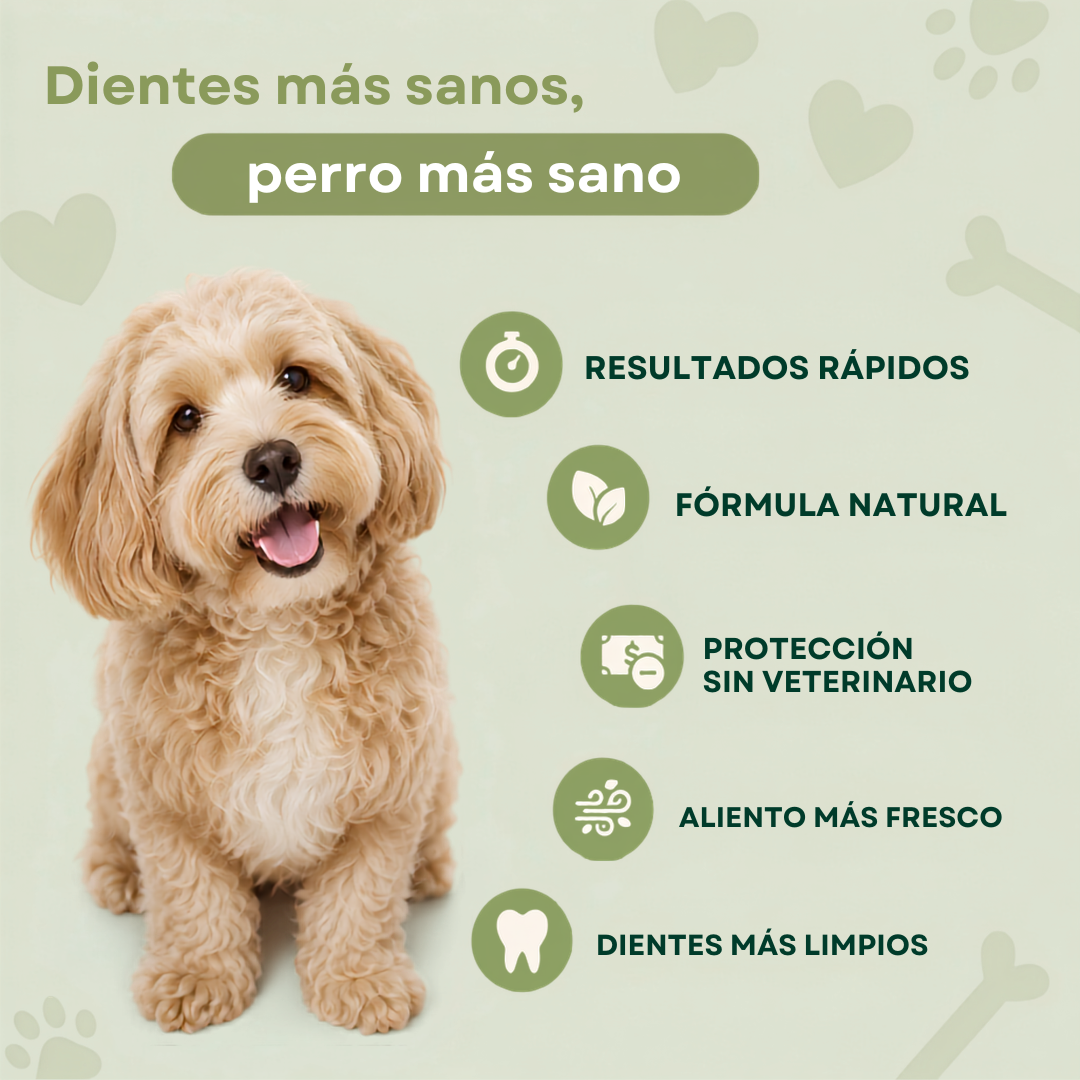 Nurexel™ — Sarro Fuera, Aliento Fresco