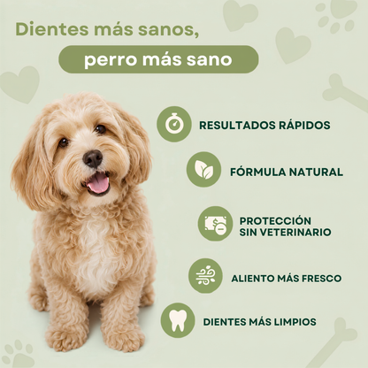 Nurexel™ — Sarro Fuera, Aliento Fresco