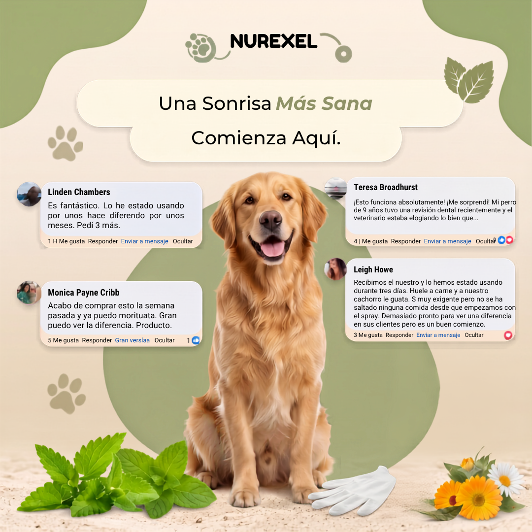 Nurexel™ — Sarro Fuera, Aliento Fresco